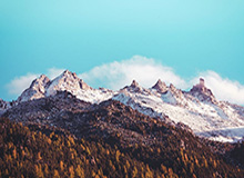 开云体育官网：点亮每一次比赛的选择